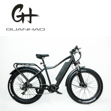 26inch Ce Cpsc TUV Bafang G521 M600 500W Middle Motor Sm 48V 17ah Battery Fat Tire Snow Tire Big Power Mountain Ebike